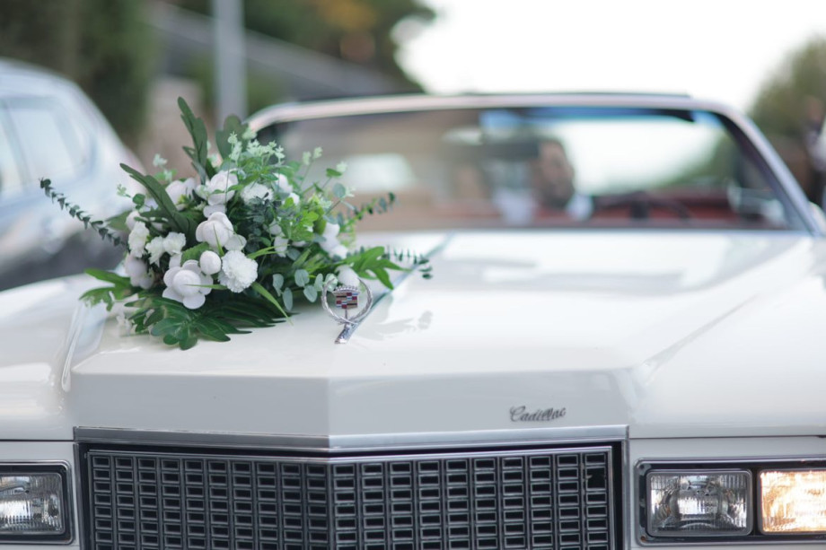 WhatsApp Image 2023-01-12 at 17.00.38.jpeg